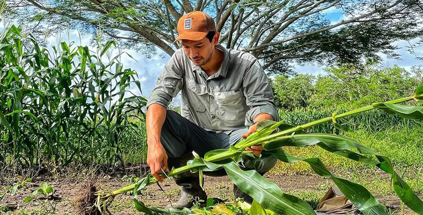Ingeniería Agrícola UNISANGIL, investigación con impacto internacional