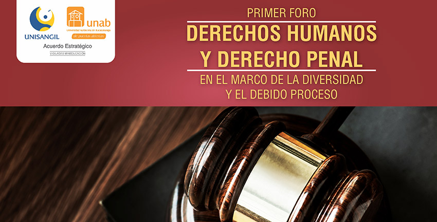 Participe en nuestro primer Foro Virtual sobre Derechos Humanos y Derecho Penal