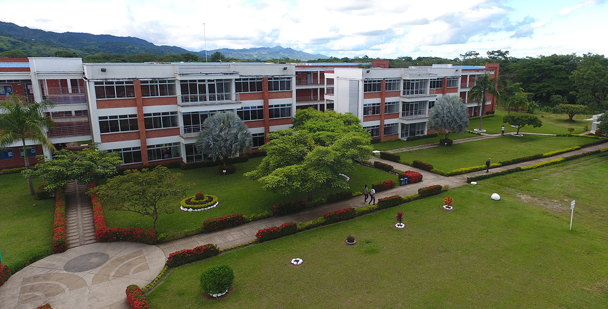 Representaremos al Casanare en los Consejos departamentales de CTeI